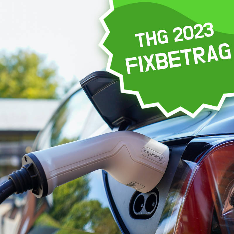 THG 2024 Höchste garantierte FixPrämie AnbieterÜbersicht emobileo